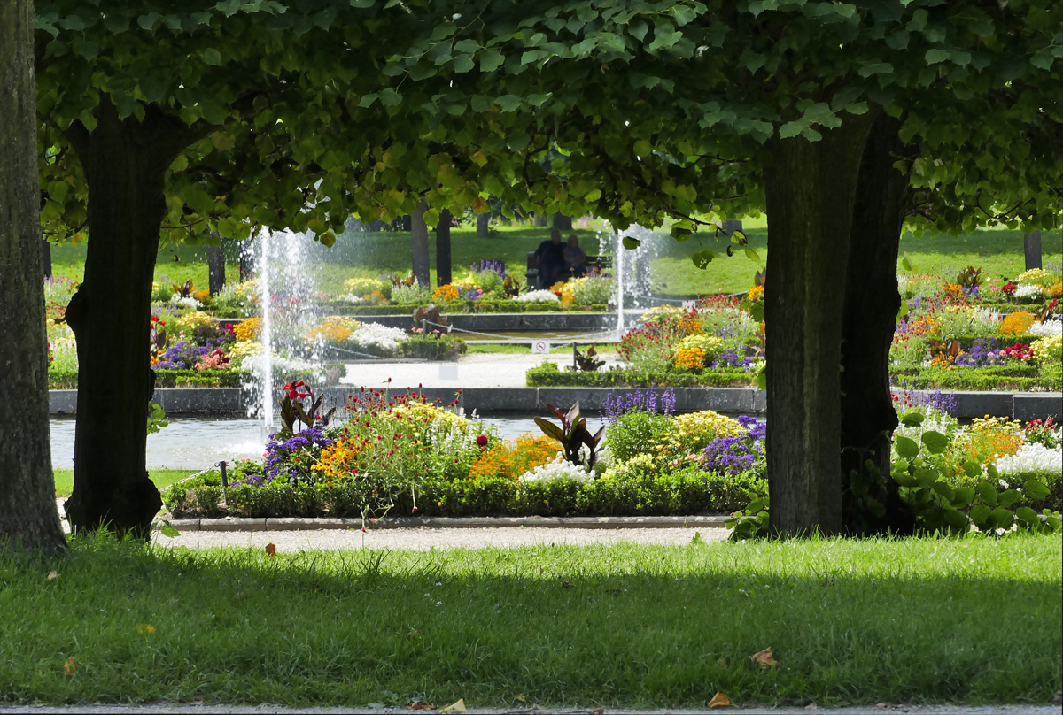 Park beim Schlo Augustusburg in Brhl, Blick durch`s  Unterholz  auf die Blumenbeete - 07.08.2017
