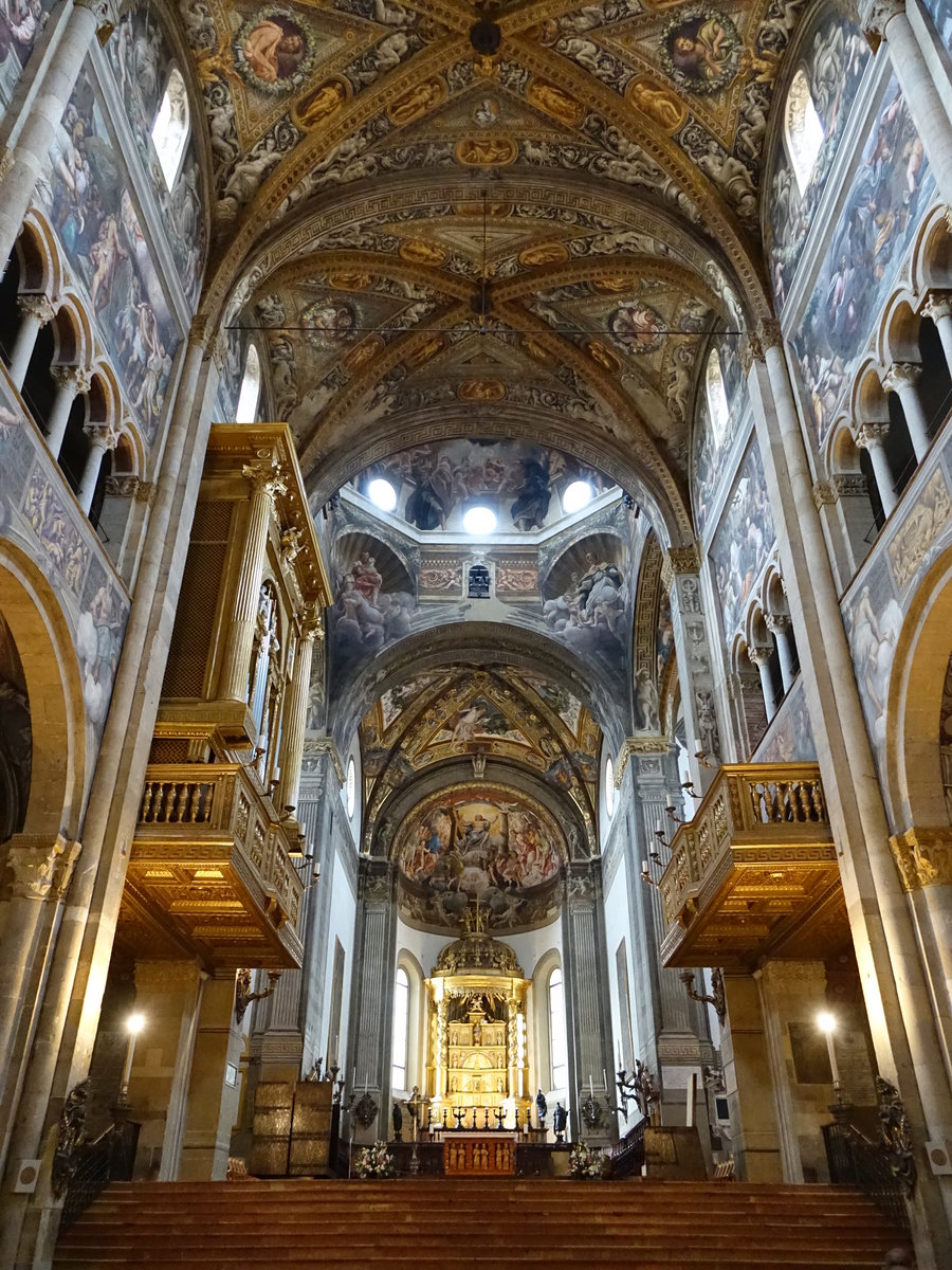 Parma, Chor der Kathedrale Santa Maria Assunta, Fresken von Antonio da Correggio (10.10.2016)
