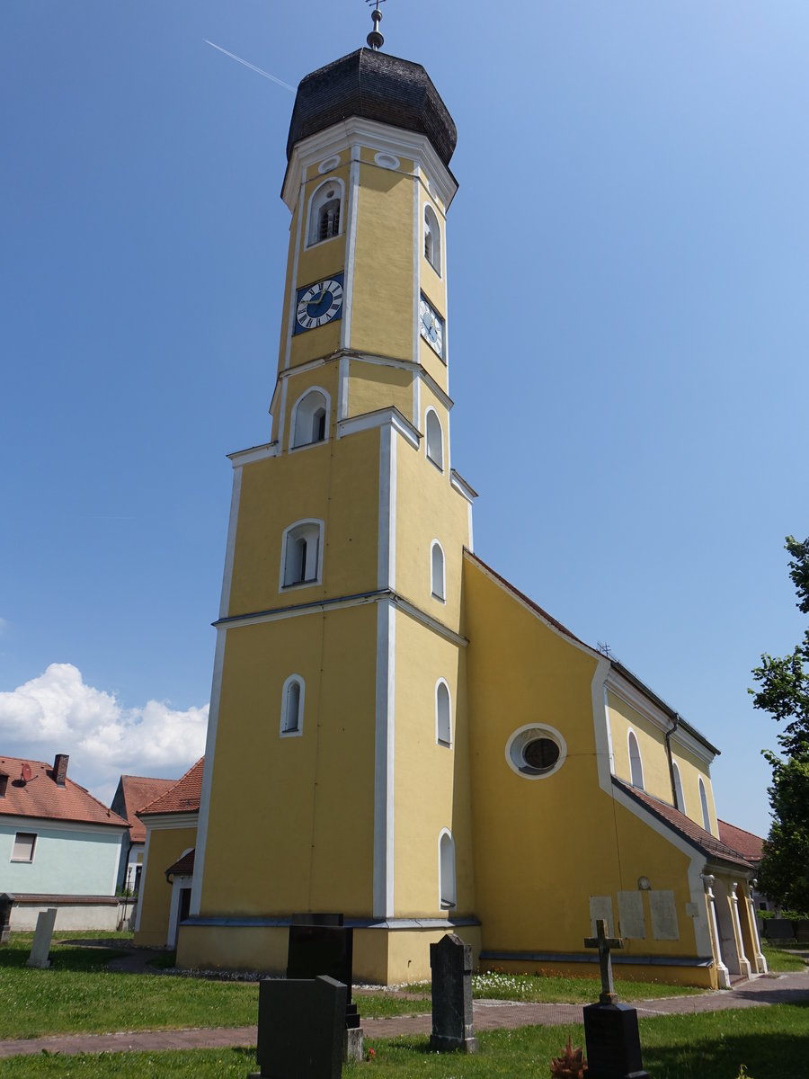 Pfatter, kath. Pfarrkirche Mari Himmelfahrt, Saalbau mit eingezogenem Chor, abgewalmtem Satteldach, Westturm mit Zwiebelhaube, erbaut im 15. Jahrhundert (02.06.2017)