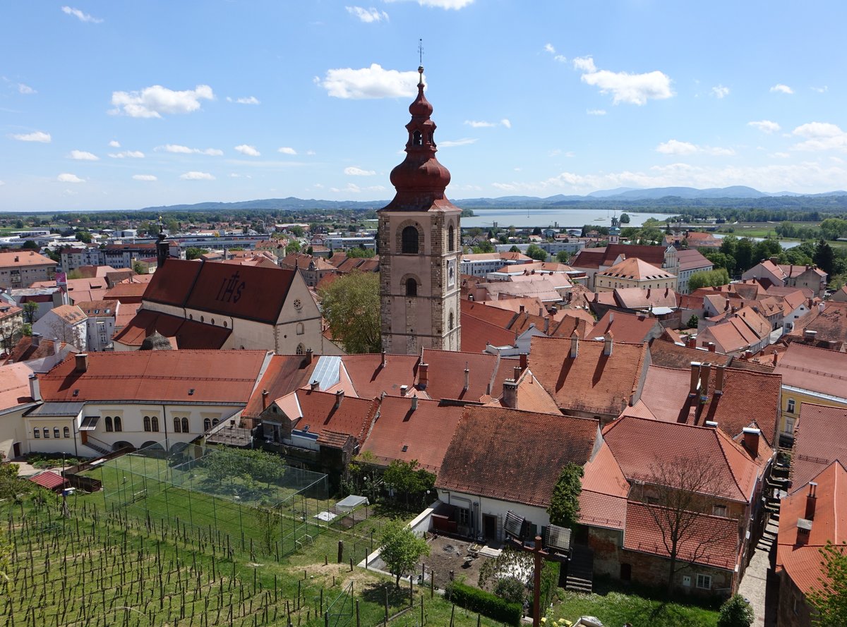 Ptuj, Ausblick auf die Altstadt mit der St. Georg Kirche (04.05.2017)