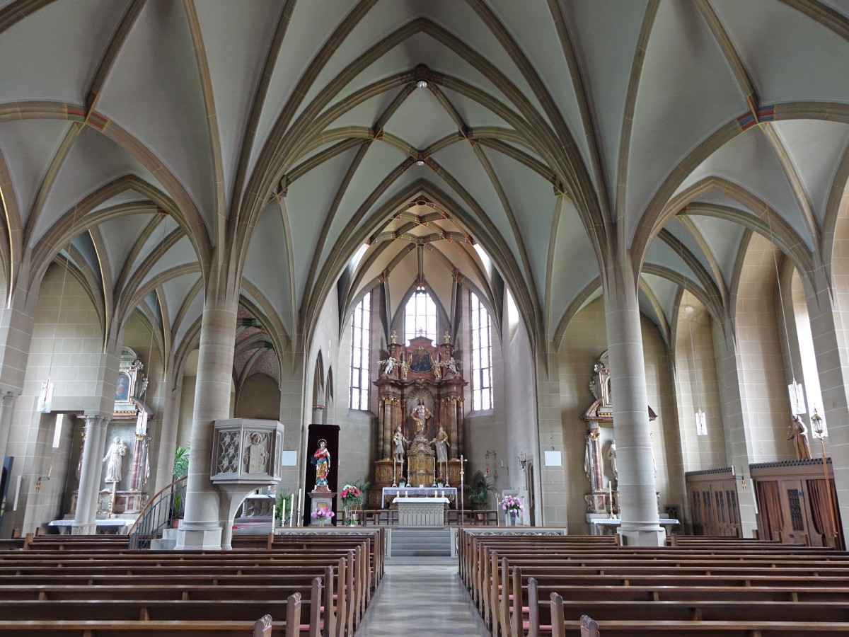 Rauenberg, Innenraum der St. Peter und Paul Kirche, dreischiffige Hallenkirche mit Kreuzrippengewlbe (31.05.2015)