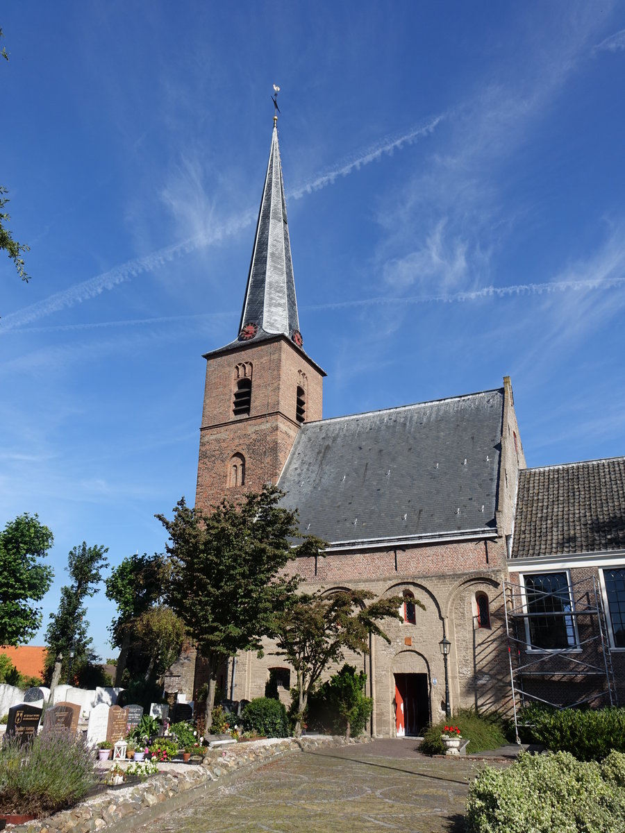 Sassenheim, Ref. Kirche, erbaut im 12. Jahrhundert, Kirchenschiff von 1594 (23.08.2016)