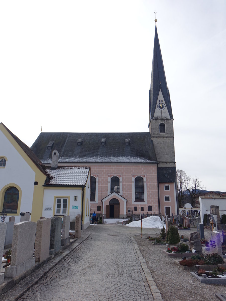 Siegsdorf, Pfarrkirche Mariae Empfngnis, erbaut von 1779 bis 1781 durch Plazidus Nizinger (26.02.2017)