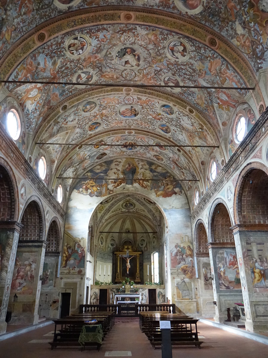 Soncino, Fresken von  G. Francesco Scanzi, Giulio Campi und Francesco und Bernardino Carminati in der Kirche Santa Maria delle Grazie (30.09.2018)