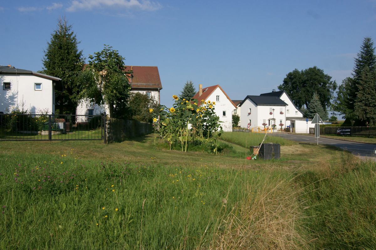Sonnenblumen im Dorf Hartha im Altenburger Land. (19.08.2016)