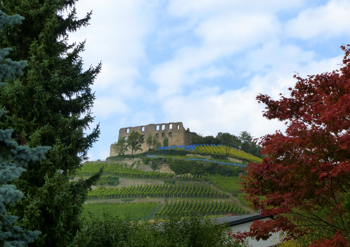 Staufen im Breisgau, die Burgruine auf dem 375m hohen Schloberg, von den Schweden 1632 zerstrt, Okt.2015