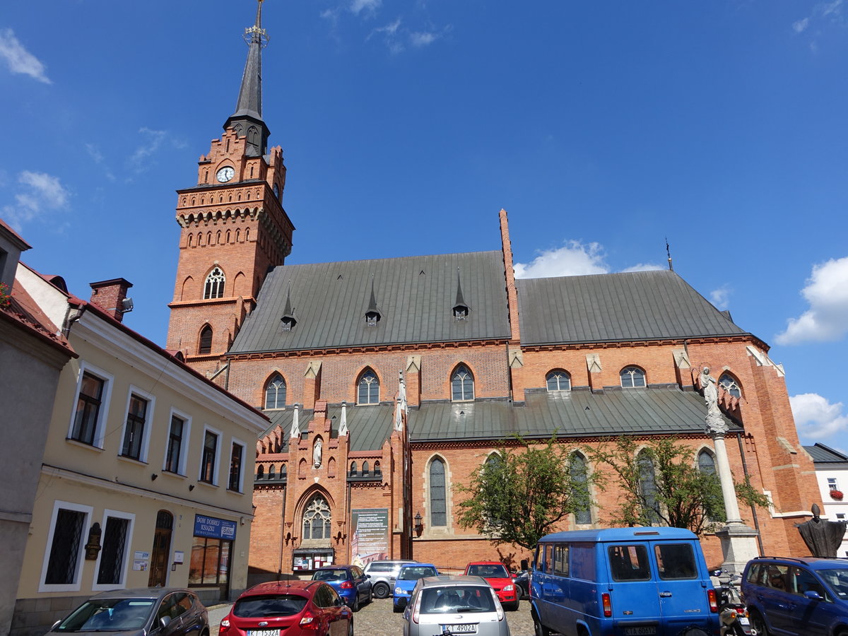 Tarnow, Kathedrale Maria Geburt, einschiffige Backsteinkirche, erbaut im 14. Jahrhundert (03.09.2020)