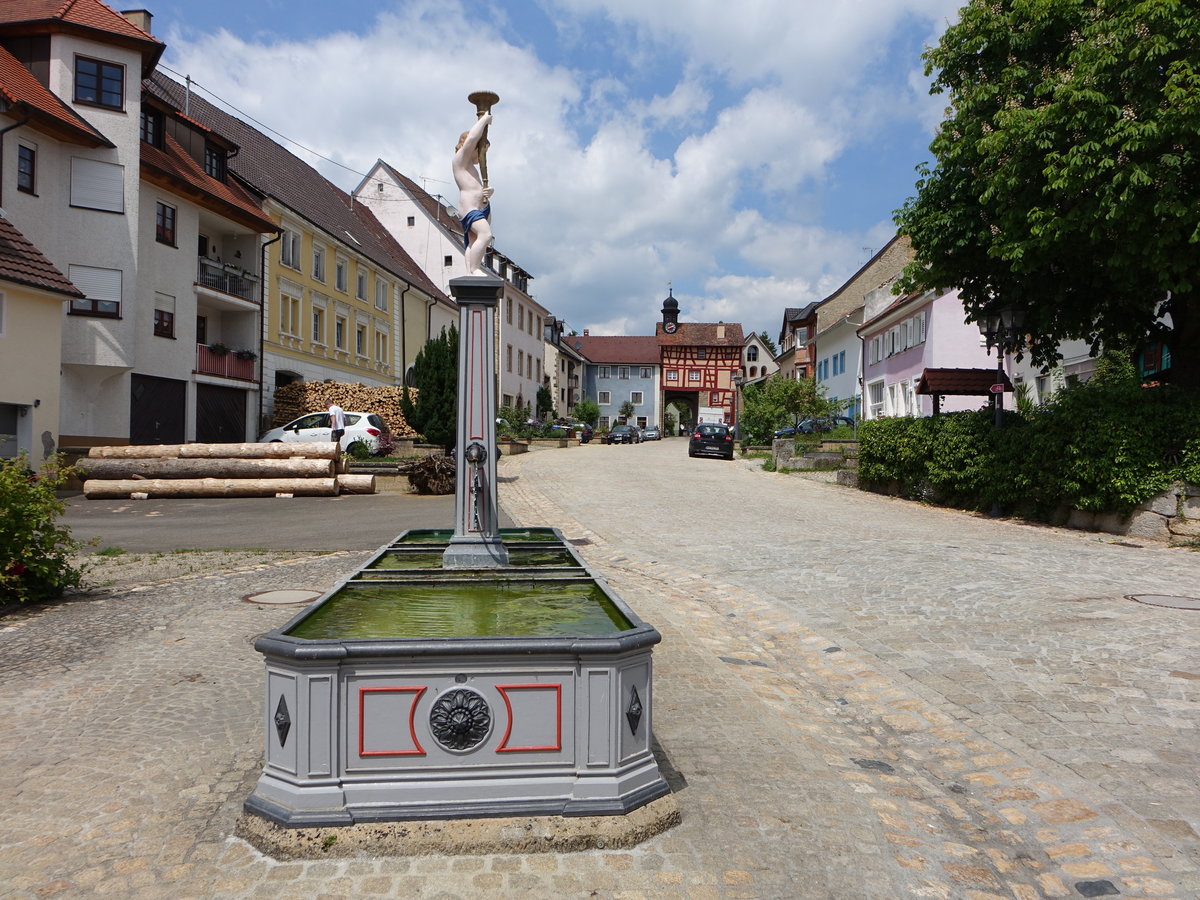 Tengen, Brunnen und Altstadttor am Marktstrae (25.05.2017)