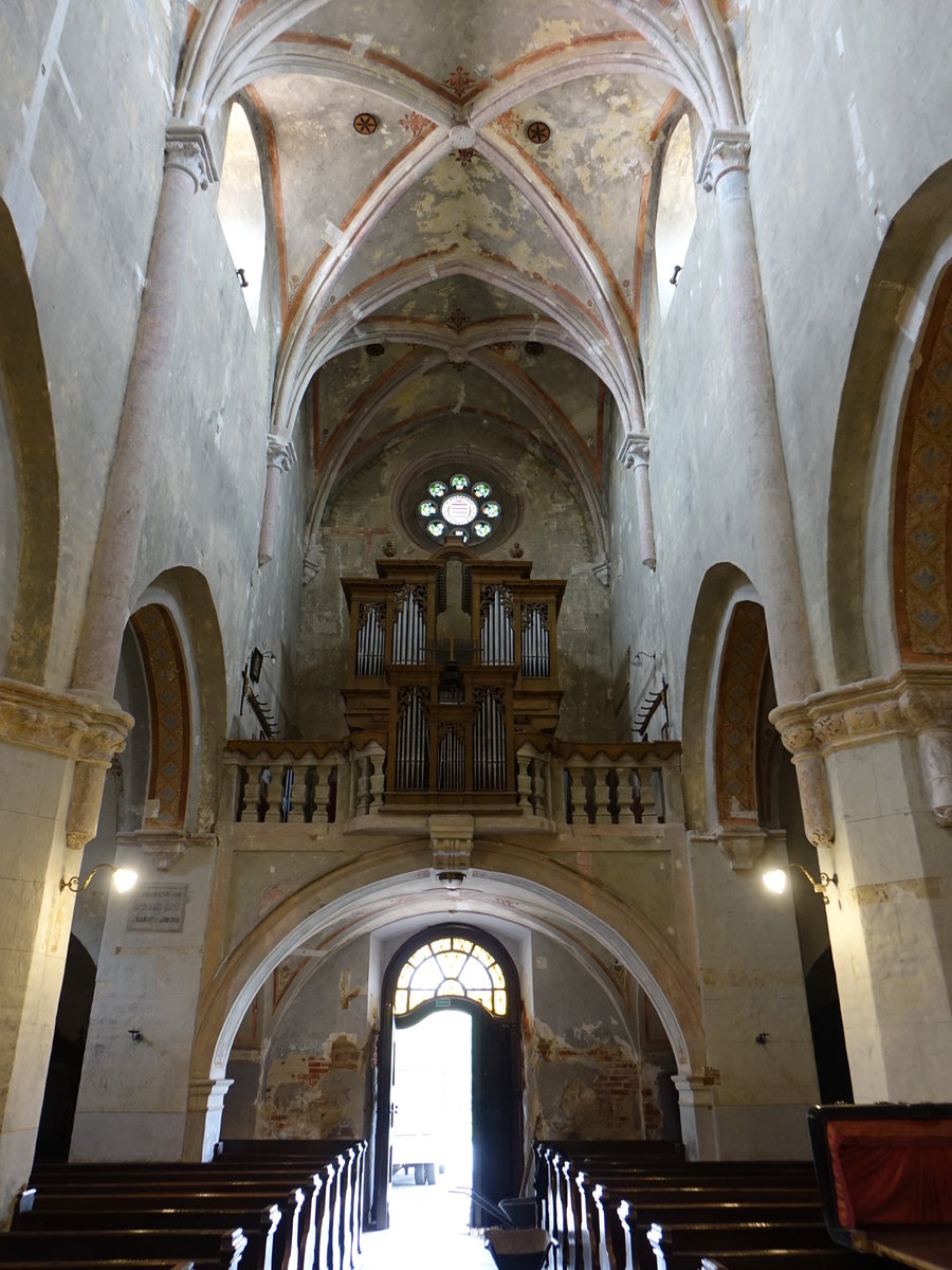 Trje, Orgelempore in der Prmonstratenser Klosterkirche, Orgel von Ignaz Kober Anfang des 19. Jahrhundert (29.08.2018)