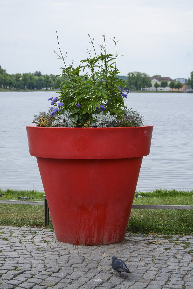 berdimensionierter Blumentopf am Pfaffenteich in Schwerin. Aufnahme: 17. Juni 2022.