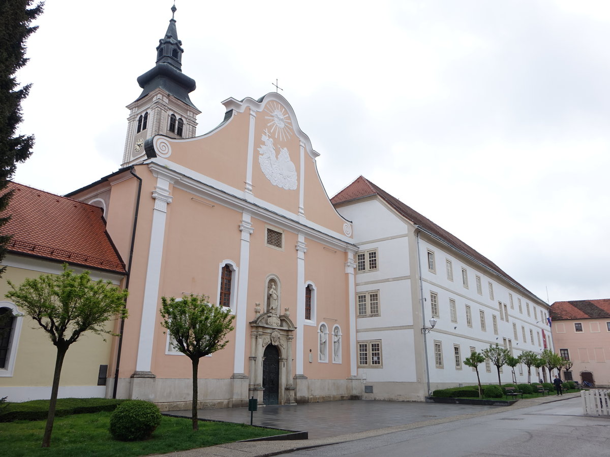 Varazdin, Kathedrale St. Maria Himmelsknigin, frhbarock, erbaut im 17. Jahrhundert durch Gaspar Draskovic (03.05.2017)