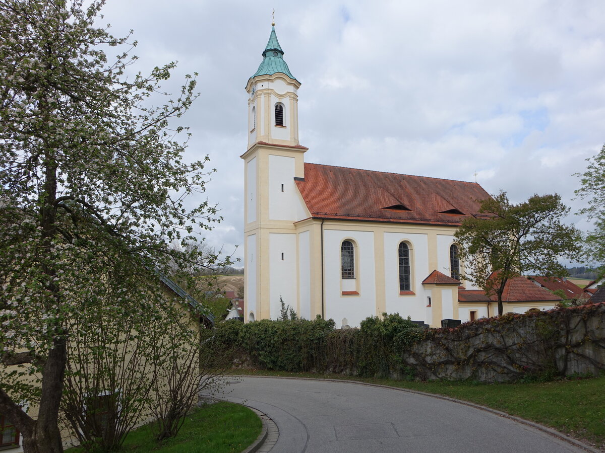 Veitsbuch, barocke Pfarrkirche St. Vitus, erbaut 1724 (23.04.2017)