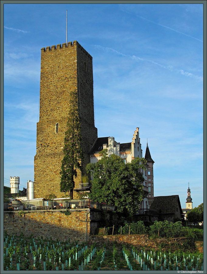Von der im 12. Jahrhundert errichteten Boosenburg in Rdesheim ist nur der Bergfried erhalten geblieben. Im 19. Jahrhundert wurde der Turm um eine neogotische Villa ergnzt. (09.08.2014)