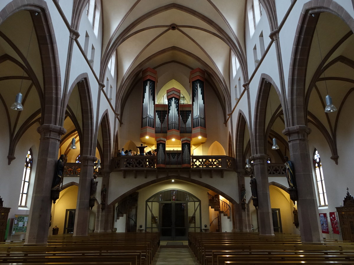 Waibstadt, Orgelempore in der kath. Maria Himmelfahrt Kirche (23.12.2018)