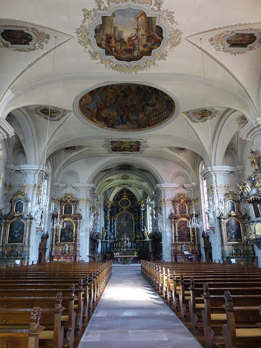 Waldkirch,  katholische Stadtkirche St. Margarethen (ehemalige Stiftskirche des gleichnamigen Klosters), erbaut von  1732 bis 1734 von Peter Thumb (13.08.2016)
