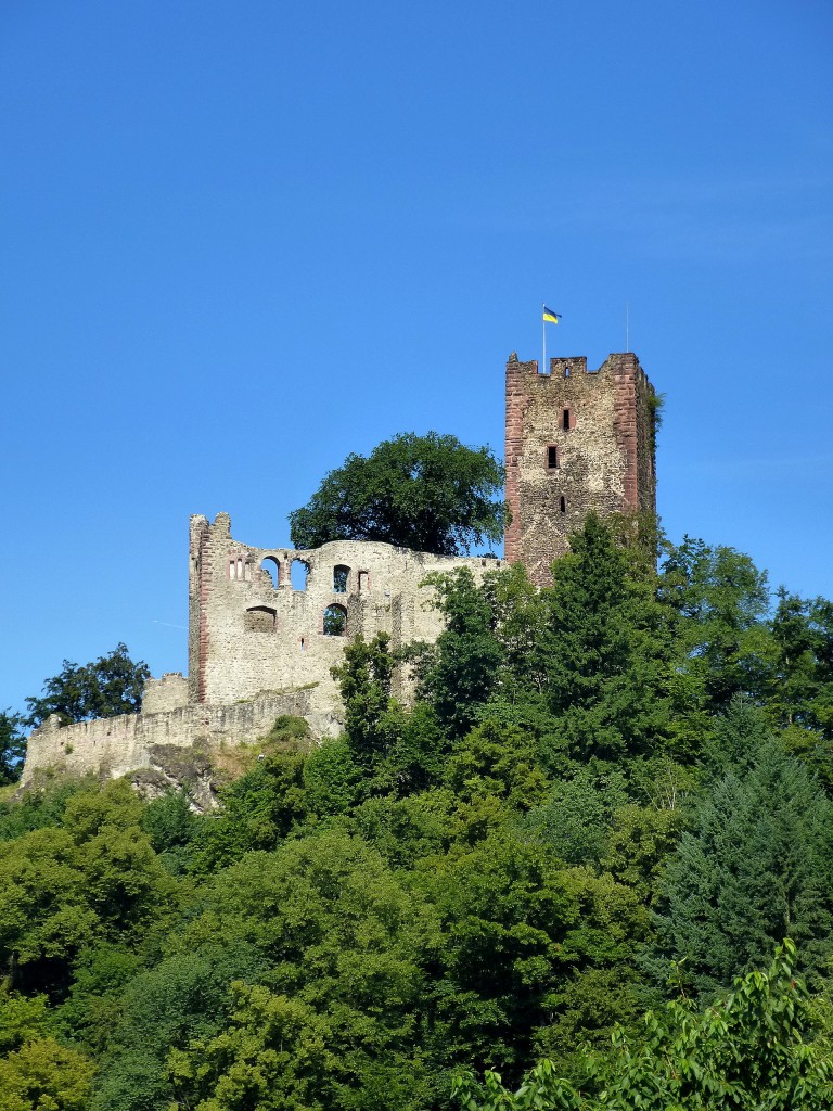 Waldkirch, Ruine der Kastelburg, erbaut von 1260-70, hoch ber der Stadt, Juli 2014