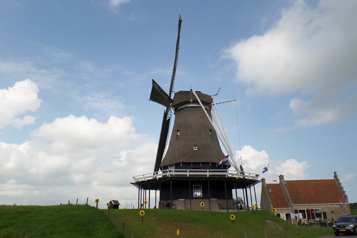 Windmhle „De Herder“ in Medemblick-Opperdoes (Niederlande) am 7.9.2014, fotografiert aus dem Museumszug „Museumstoomtram Hoorn–Medemblik“  / 