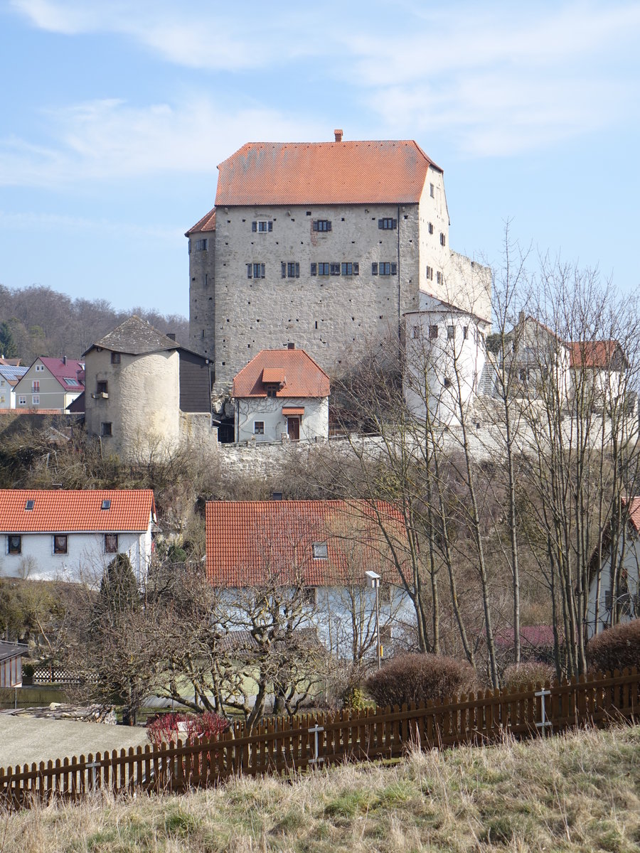 Wolfsegg i. d. Oberpfalz, gotische Randhausburg, erbaut um 1278 (25.03.2018)