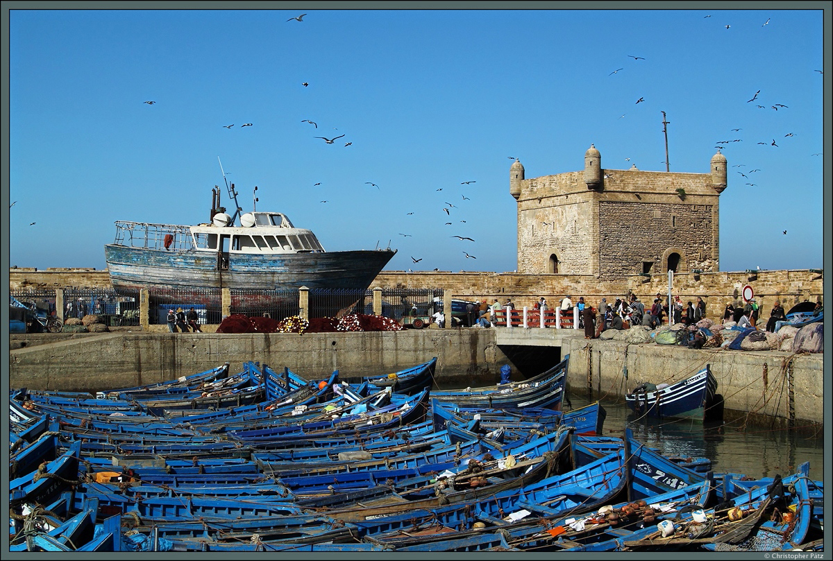Zahlreiche blaue Fischerboote versammeln sich im Hafen der Stadt Essaouira an der marokkanischen Atlantikkste. Dieser wird von portugisischen Befestigungsanlagen, den Scala du Port geschtzt. Die Portugiesen hatten im 15. und 16. Jahrhundert einzelne Gebiete der marrokanischen Kste erobert und die Stadt befestigt. (21.11.2015)