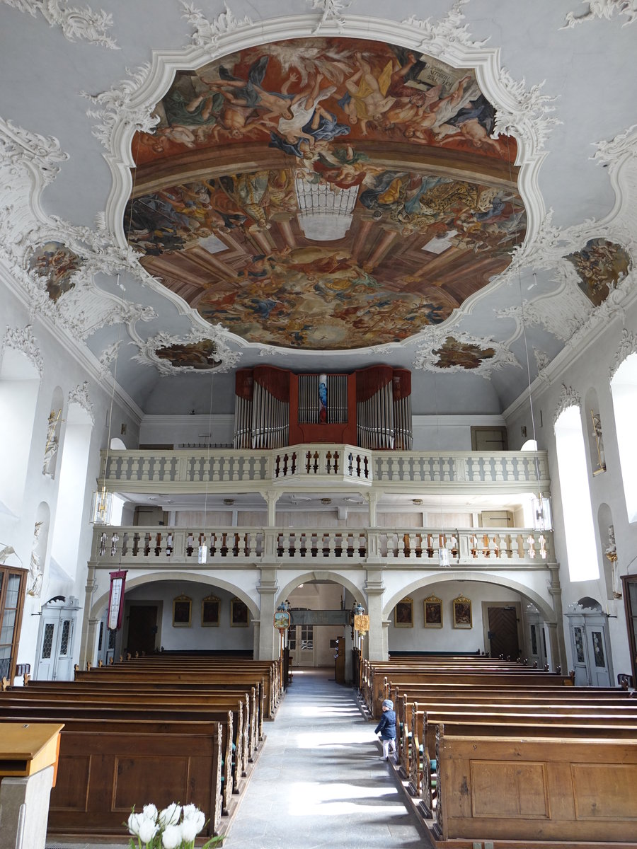 Zeil am Main, Orgelempore und Deckengemlde in der St. Michael Kirche (26.03.2016)