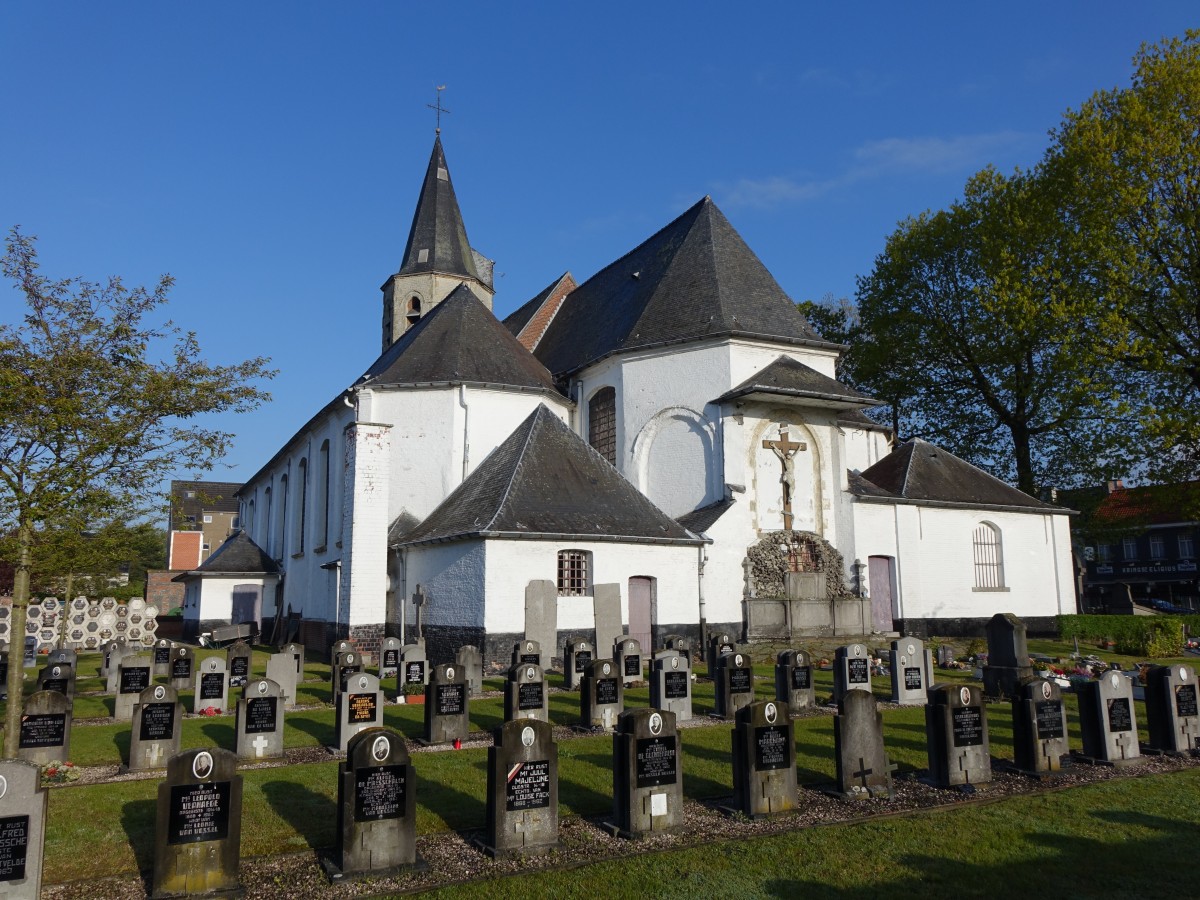 Zeveneken, Sint Eligius Kirche, erbaut im 16. Jahrhundert mit achteckigem Turm (30.04.2015)
