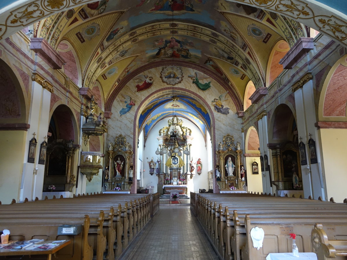 Zlate Hory / Zuckmantel, barocker Innenraum der Maria Himmelfahrt Kirche (01.07.2020)