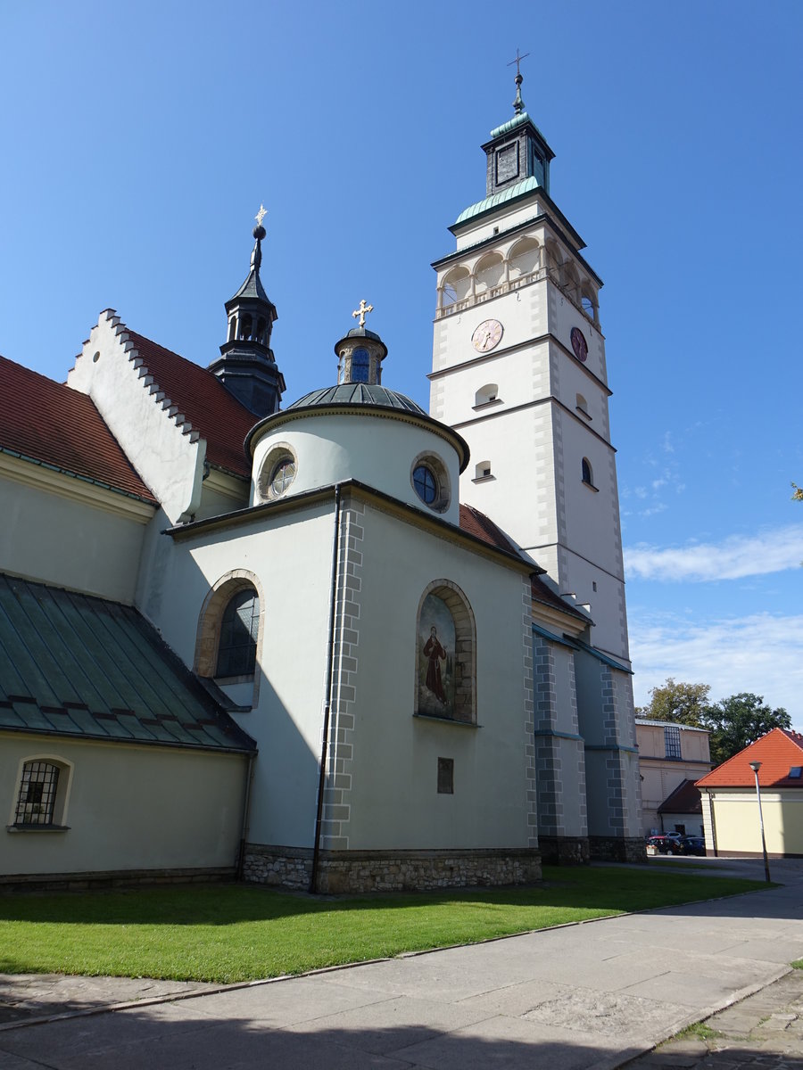 Zywiec / Saybusch, Pfarrkirche Maria Himmelfahrt, erbaut im 15. Jahrhundert, barockisiert im 17. Jahrhundert (05.09.2020)