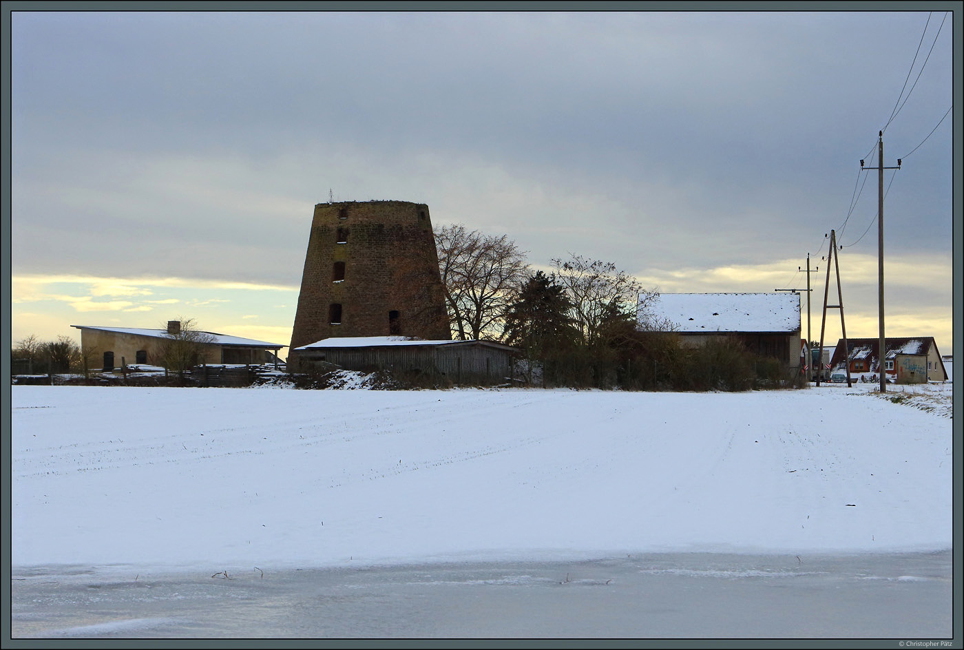 Am stlichen Ortsrand von Flechtingen steht die Ruine einer Turmhollnder-Windmhle. (21.01.2024)