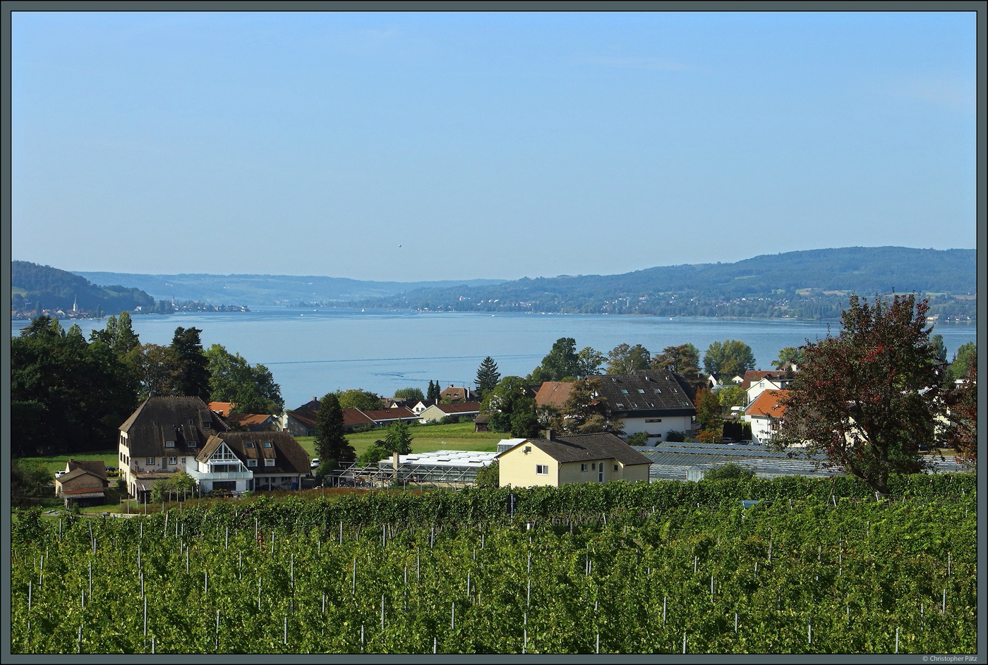 Blick vom hchsten Punkt der Insel Reichenau auf das Dorf Mittelzell und den Rheinsee, der hier die Grenze zwischen Deutschland (rechtes Ufer) und der Schweiz (links) bildet. (Reichenau, 08.10.2023)