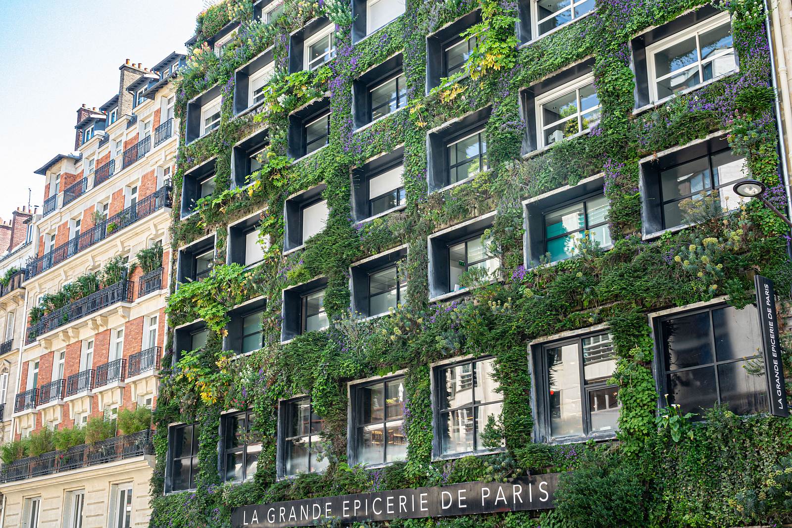 Mehrfamilienhaus mit grner Fassade. Ganz Interessant! paris, Juni, 2023