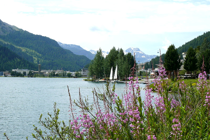 Blick am 21.07.2009 ber St.Moritzer See zum Segelhafen