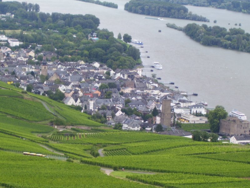 Blick auf Rdesheim am Rhein und die umliegenden Weinberge. 24.07.2007