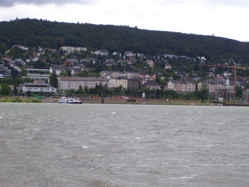 Blick von Rdesheim aus ber den Rhein auf Bingen. 24.07.2007