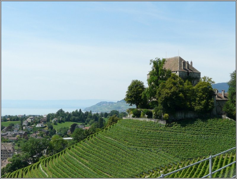 Das Schloss Chtelard (erbaut 1441) liegt inmitten der Weinberge oberhalb von Clarens (Montreux). 31.07.08 (Jeanny)