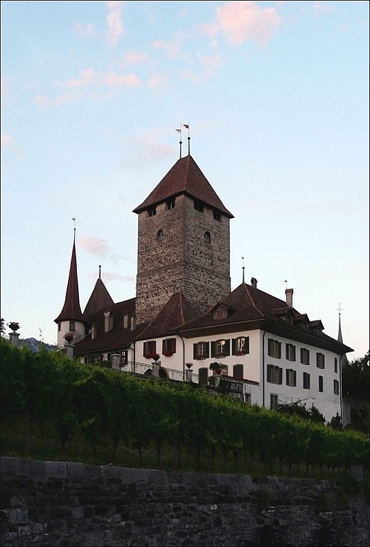 Das Schloss von Spiez steht inmitten der Weinberge. 28.07.08 (Jeanny)