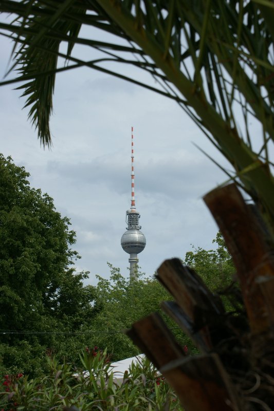 Der Berliner Fernsehturm unter Palmen.
(Juni 2009)
