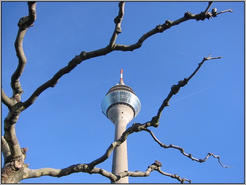 Der Dsseldorfer Rheinturm, gesehen am 11.03.2007 von der Uferpromenade aus. Der Rheinturm wurde von 1979 bis 1982 gebaut, Architekt war H. Deilmann. Auf der Spitze des 240,5 Meter hohen Turms befinden sich diverse Fernmeldeeinrichtungen, ein sich um die eigene Achse drehendes Restaurant sowie eine Aussichtsplattform. 