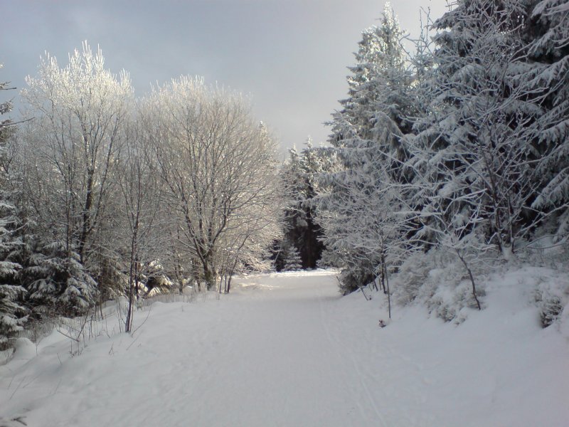 Der Harz. Blick vom Liebesbankweg (Hahnenklee); Winter 2007/08