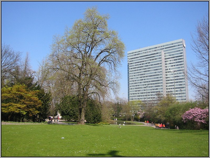 Der Hofgarten ist ein groer Park in Zentrum von Dsseldorf mit weitlufigen Wiesenflchen, Teichen und einem reichhaltigen Baumbestand. Der hier gezeigte Teil des Parks liegt in unmittelbarer Nhe der Knigsallee. Im Hintergrund ist nochmals das Dreischeibenhaus zu sehen. (01.04.2007)