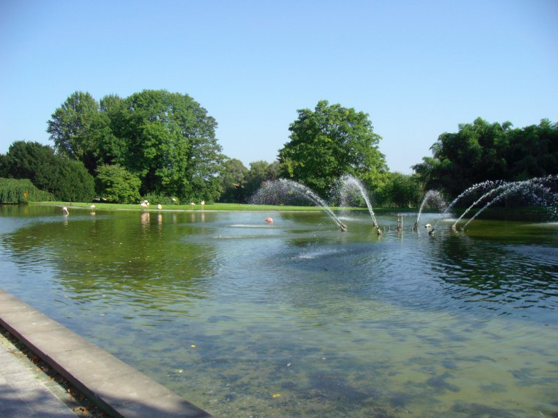Der Flamingo-Teich im Westfalenpark Dortmund  