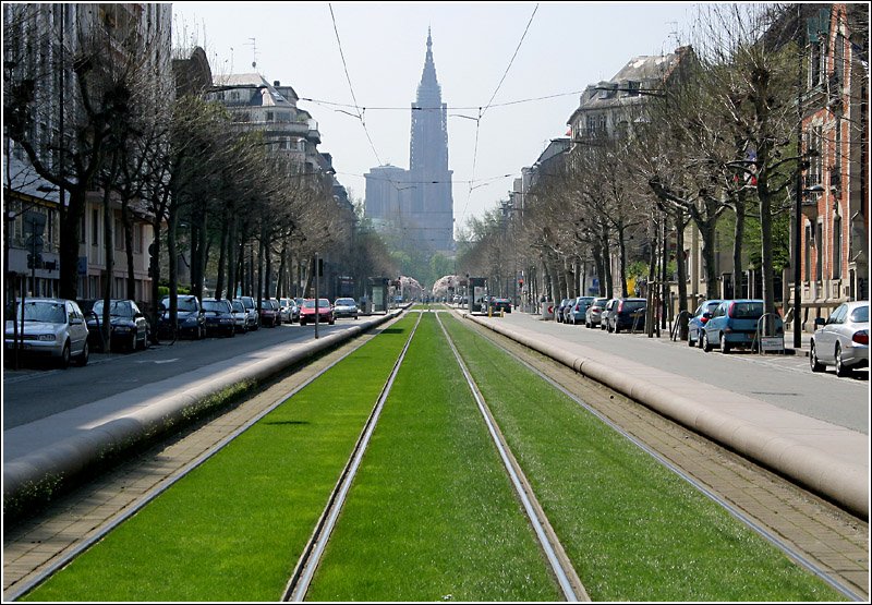 Die Avenue de la Paix fhrt von Norden her direkt auf das Mnster zu. Die Straenbahntrasse bringt grn ins Straenbild und wertet gestalterisch die Strae auf. 21.4.2006 (Matthias)