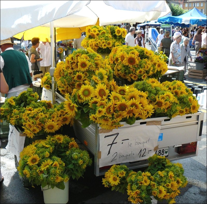 Ein Stand mit Sonnenblumen auf den Marchs Folkloriques in Vevey am 02.08.08. (Hans)