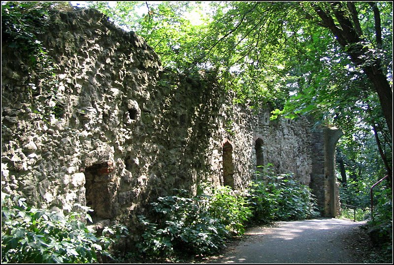 Eine Mauer der Ruine Drachenfels ber Knigswinter. 1.8.2004 (Matthias)