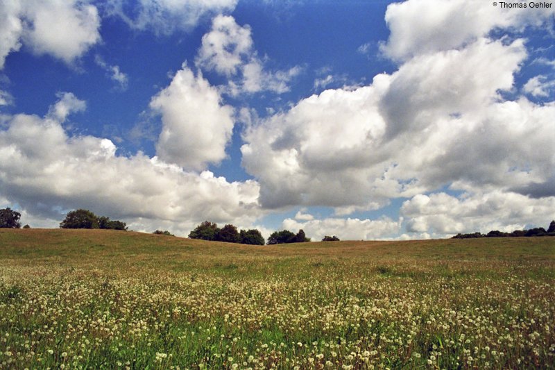 Endlose Felder und tiefe weie Wolken am blauen Sommerhimmel sind ein Sinnbild fr die uckermrkische Landschaft. Die Aufnahme entstand unweit des Zansen, einem Nebenarm des Schmalen Luzin; Mai 2006.