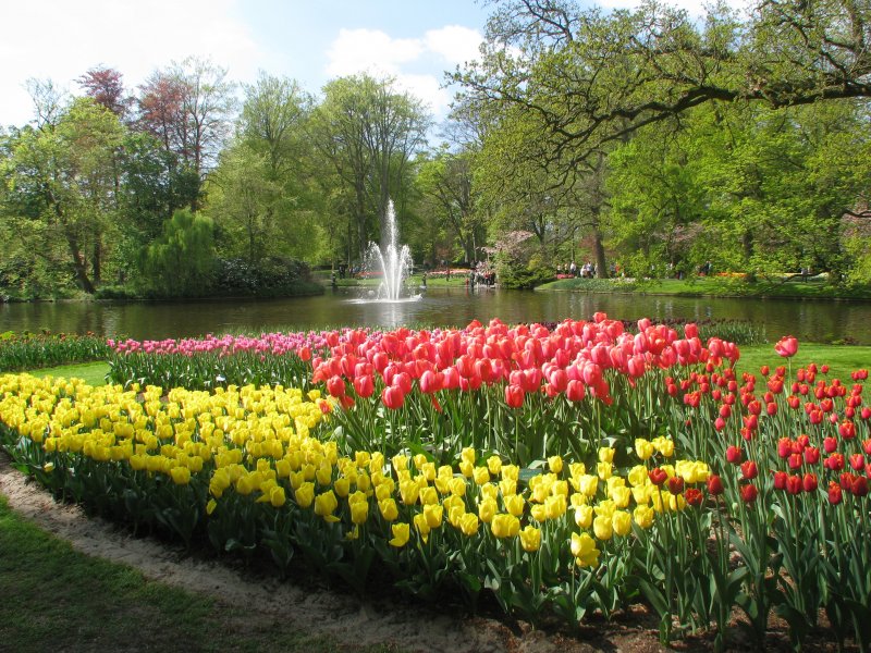 Frühling im Keukenhof Lisse - über 1 Million Tulpen -