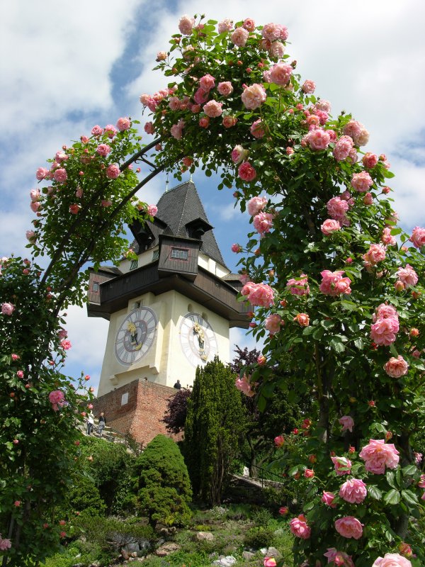 Fr�hling am Schlo�berg - Das Grazer Wahrzeichen, der Uhrturm, mit