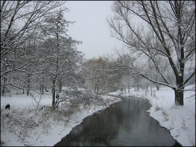 Hier eine weitere Winter-Impression aus der Gnther-Klotz-Anlage in Karlsruhe. Zu sehen ist der kleine Flu Alb, der aus dem Albtal kommend spter in den Rhein mndet. (26.01.2006)