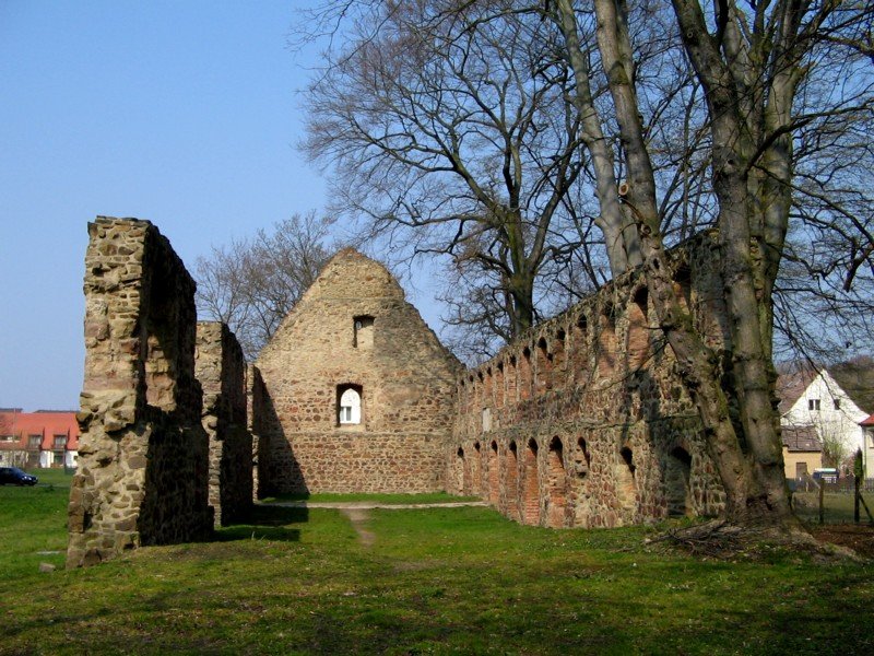 Klosterruine Nimbschen