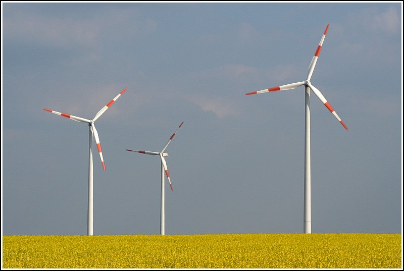 Windr�der bei Emmendorf im Landkreis Uelzen. Aufnahmedatum: 11.05.2006 