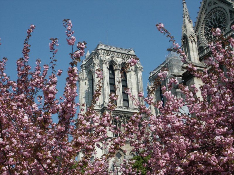 Notre Dame im Frhling